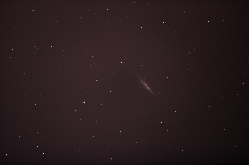 M82