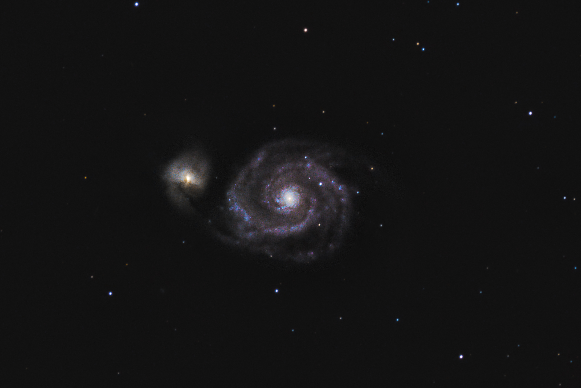 M51SEAL.jpg