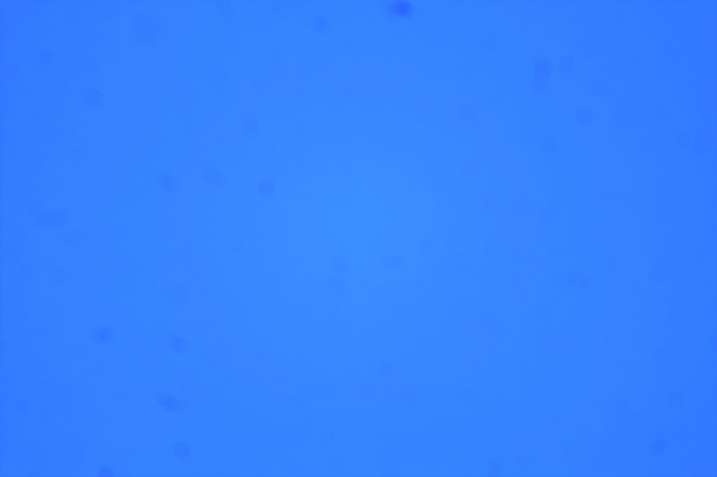 flat_i.jpg