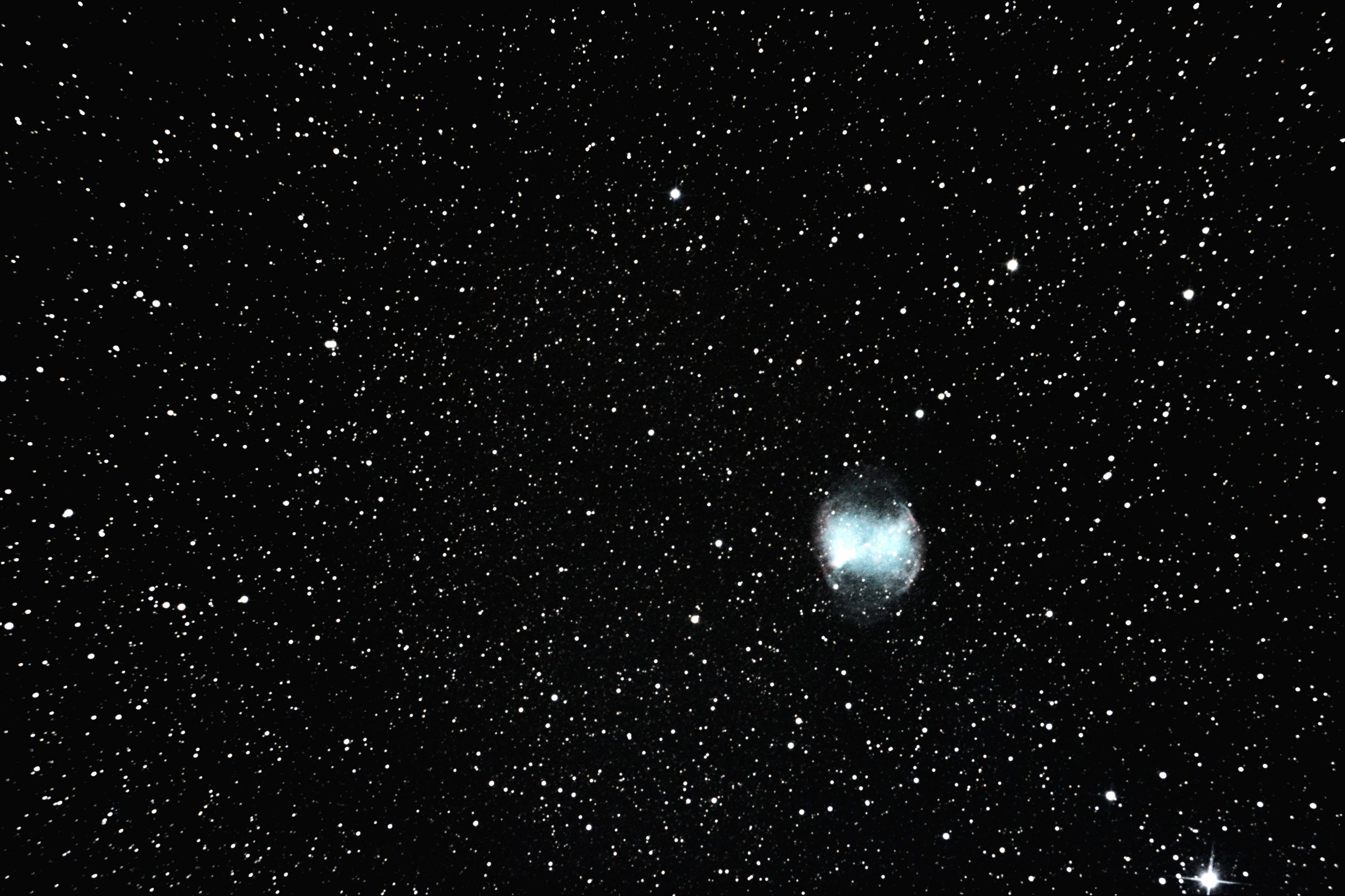M272.jpg