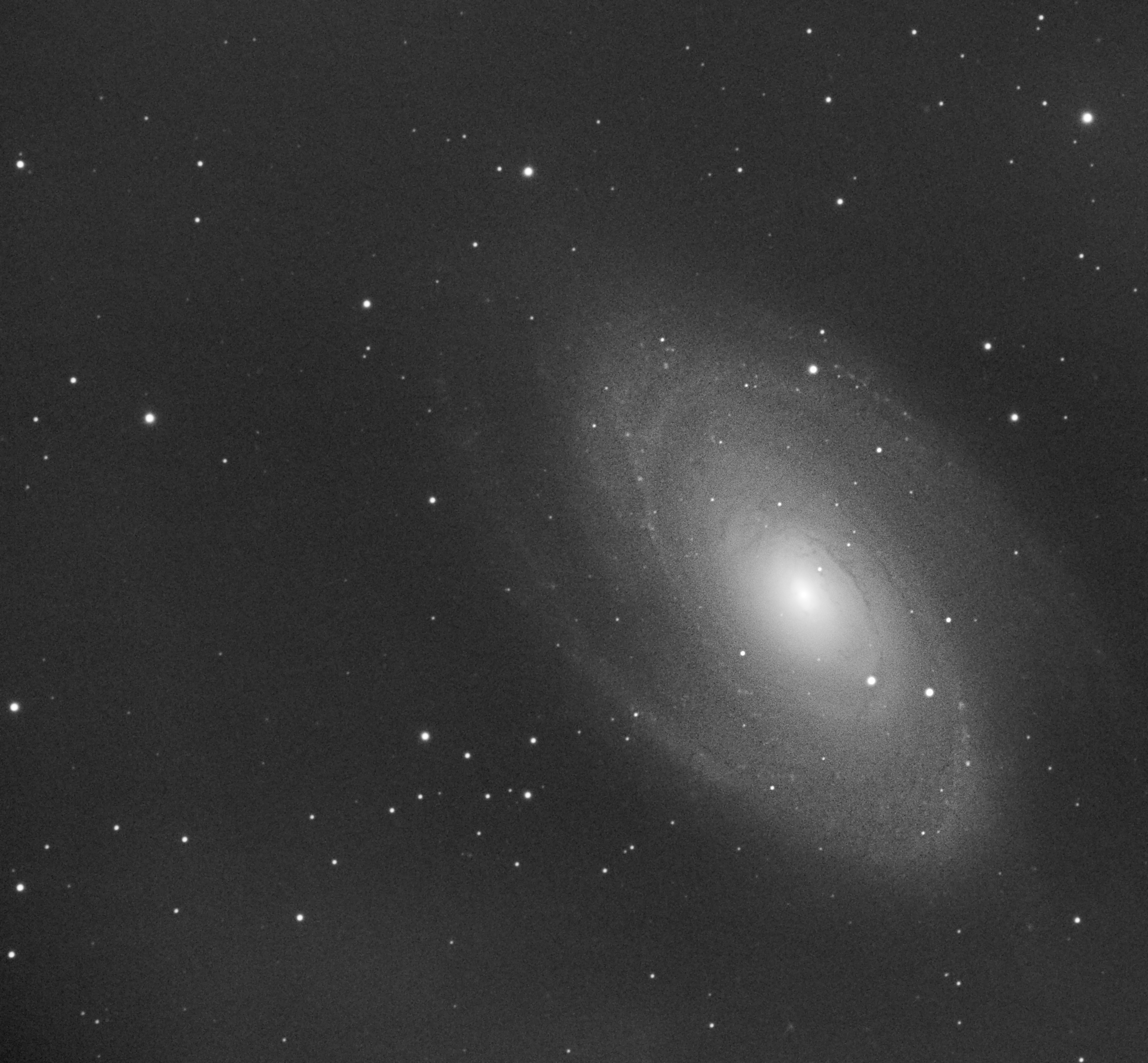 M81 LUMI.jpg