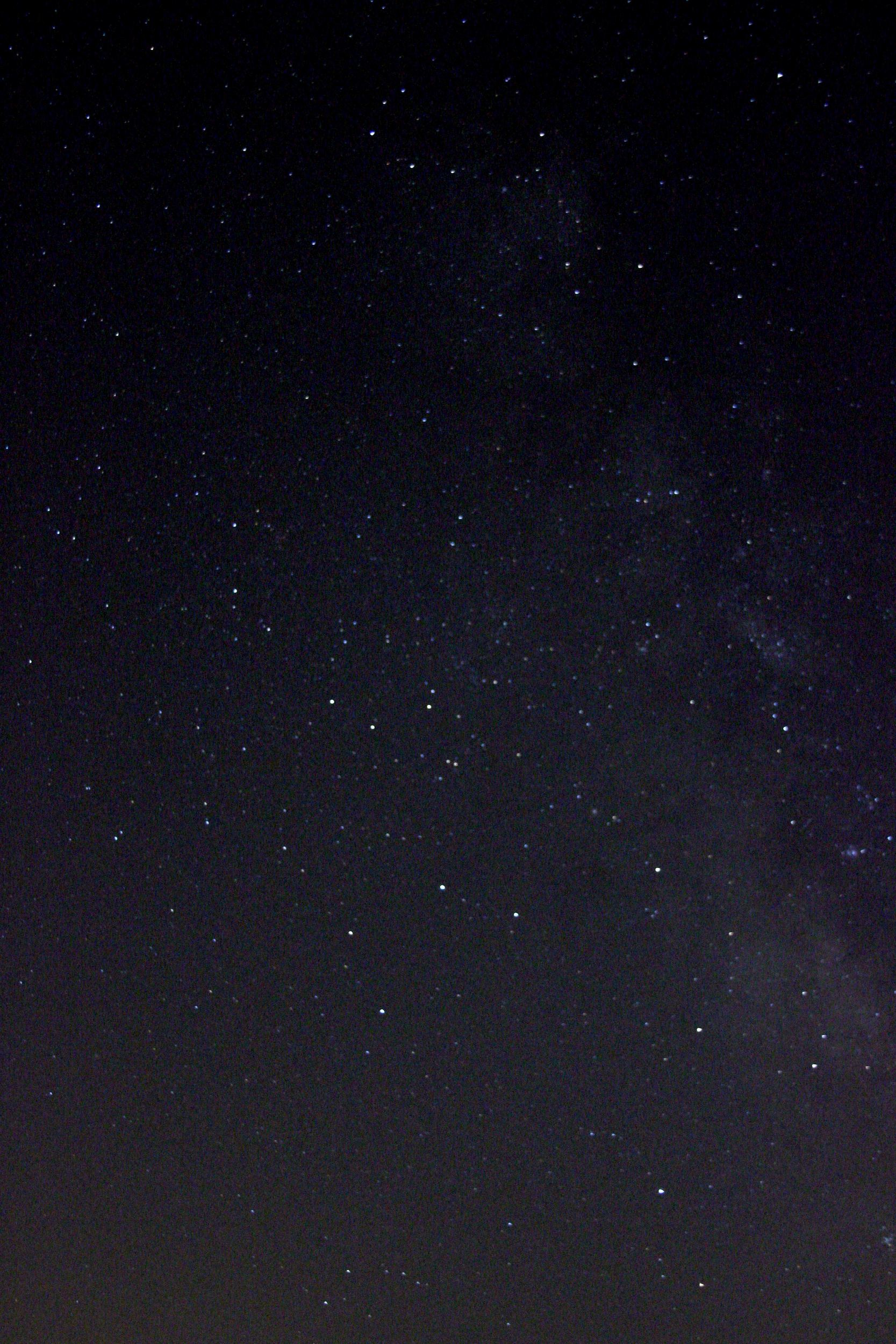 IMG_3474_ic.jpg