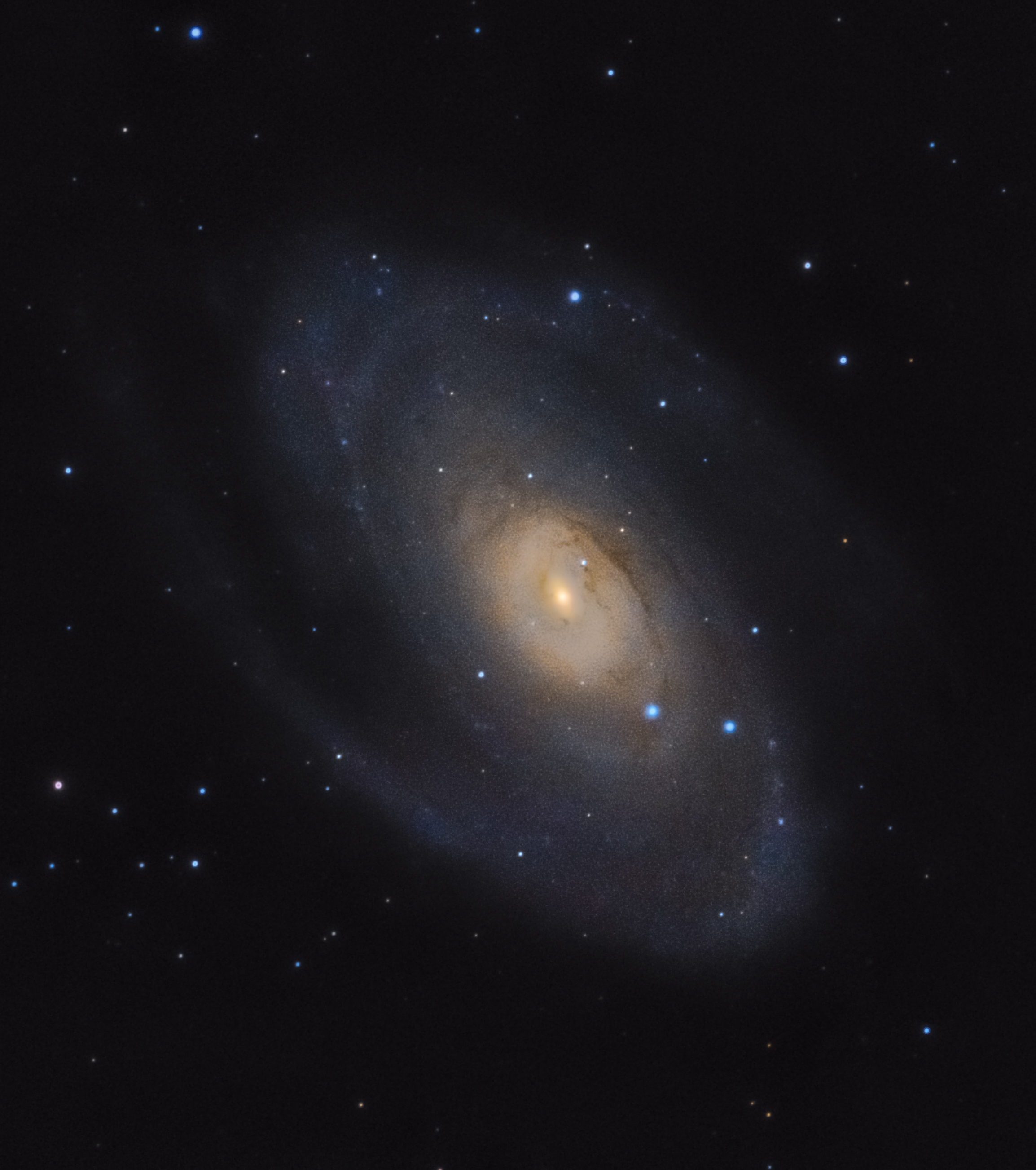 M81COLOR.jpg