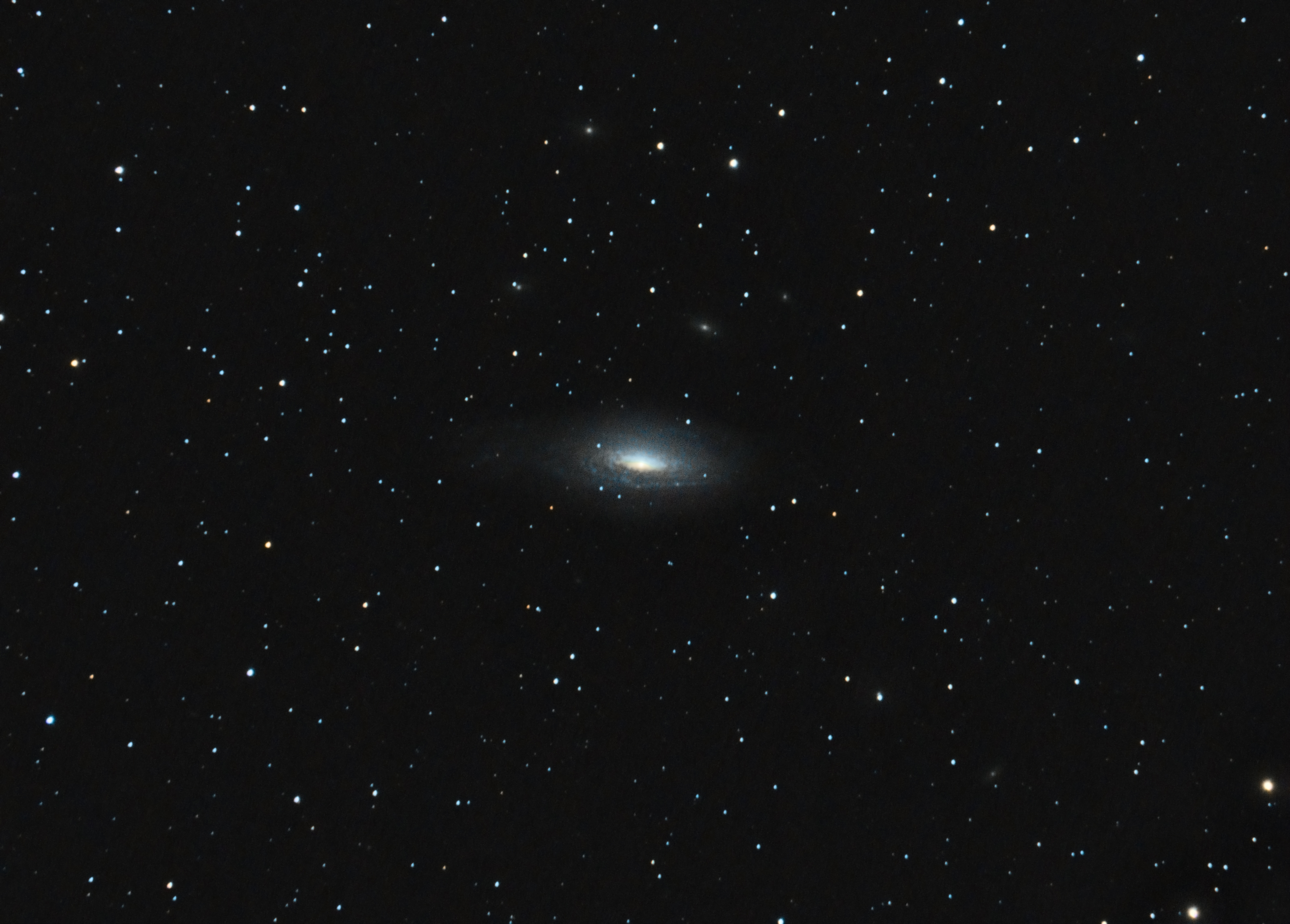 NGC7331.jpg