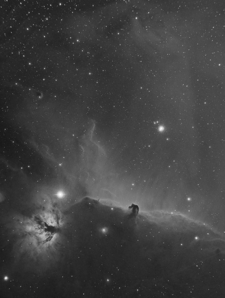HorseHeadTest1H.jpg