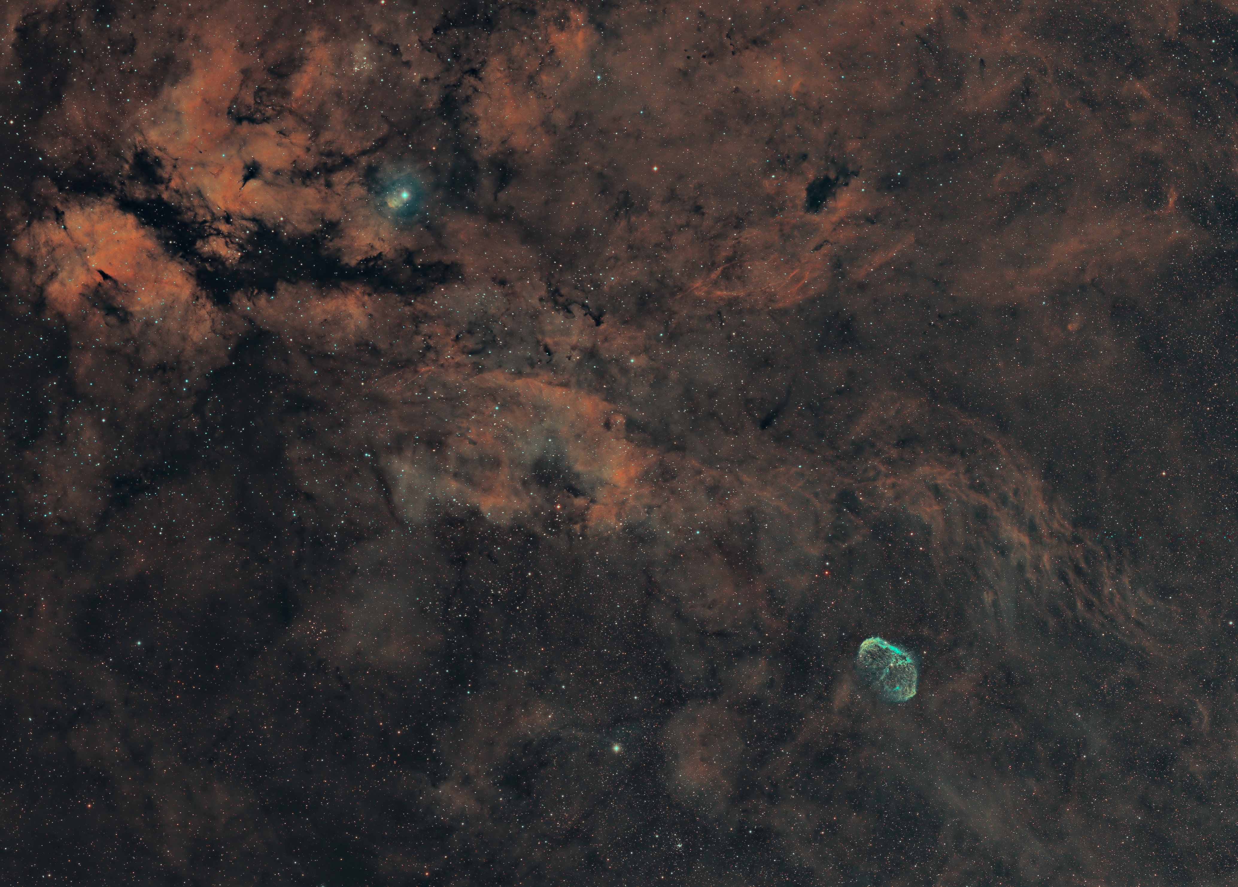 IC1318-1-scale50.jpg