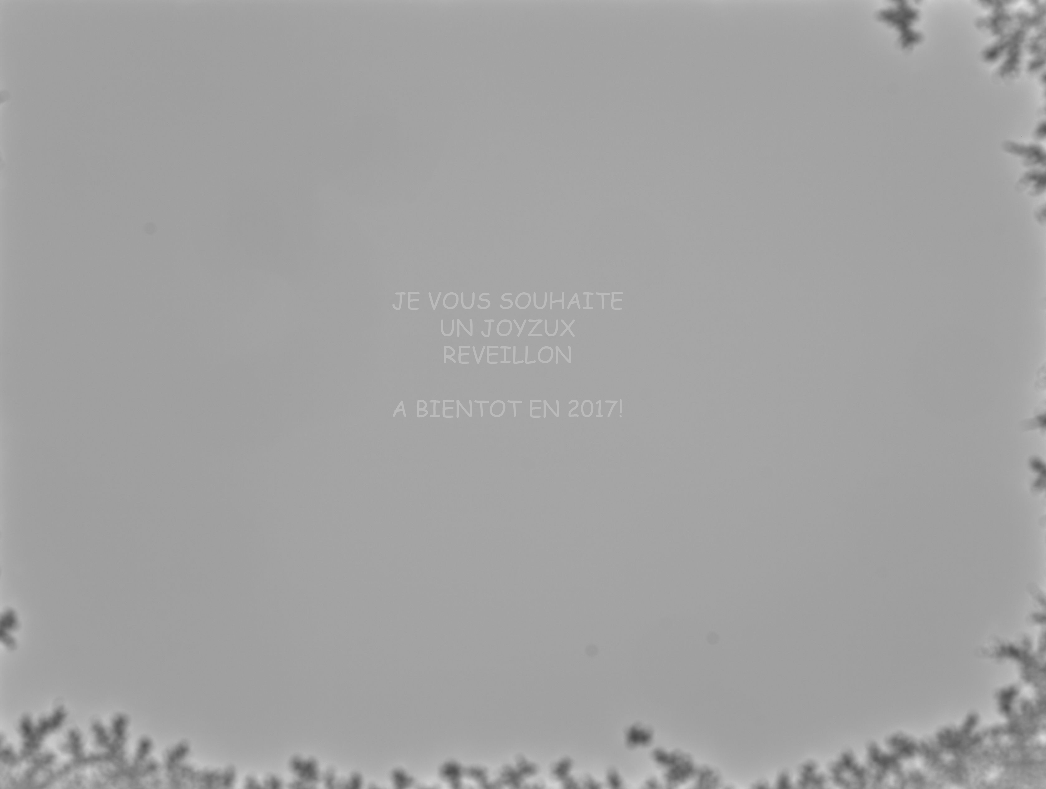 bonne annee.jpg