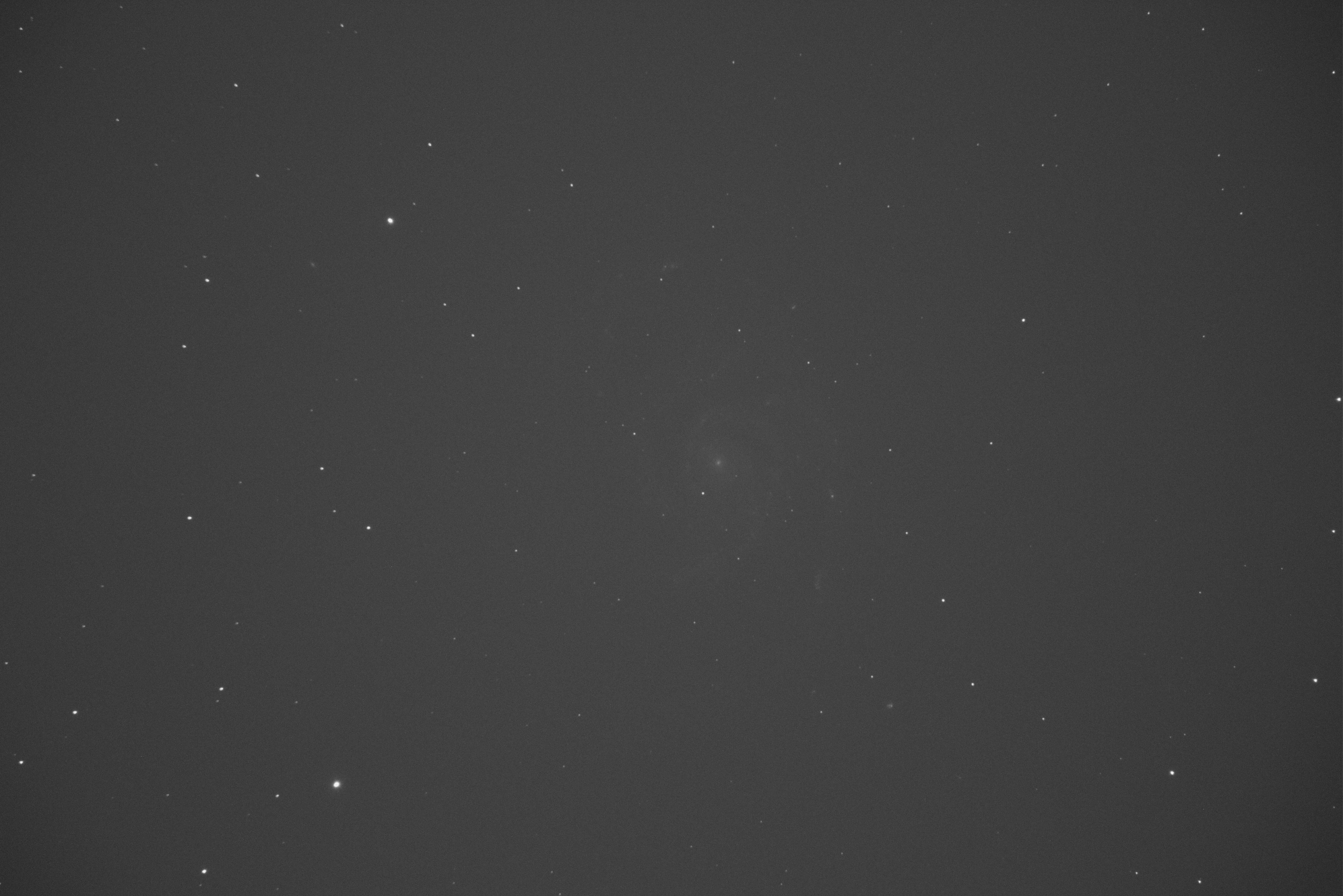 M101_LIGHT_.jpg