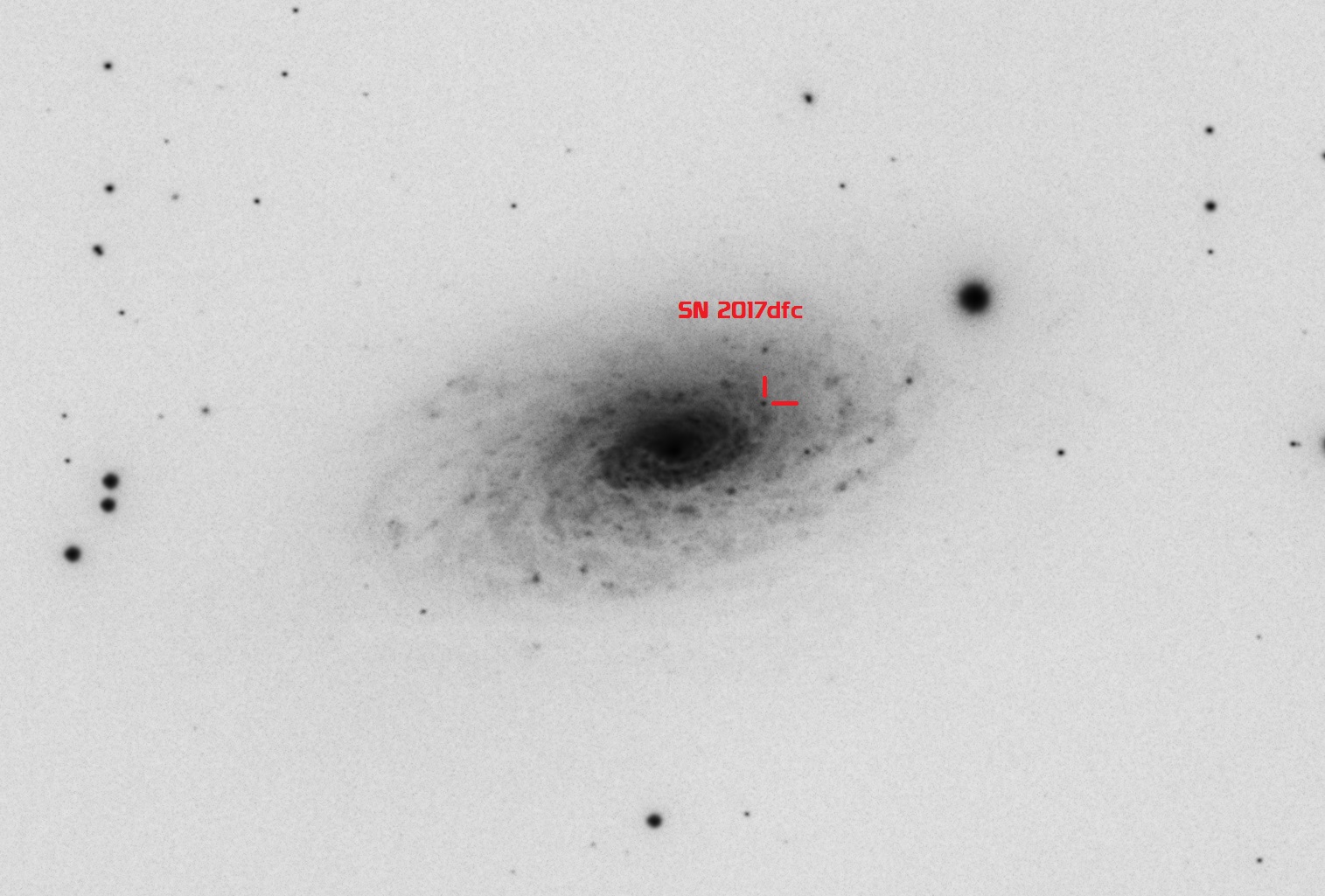 M63 SN.jpg