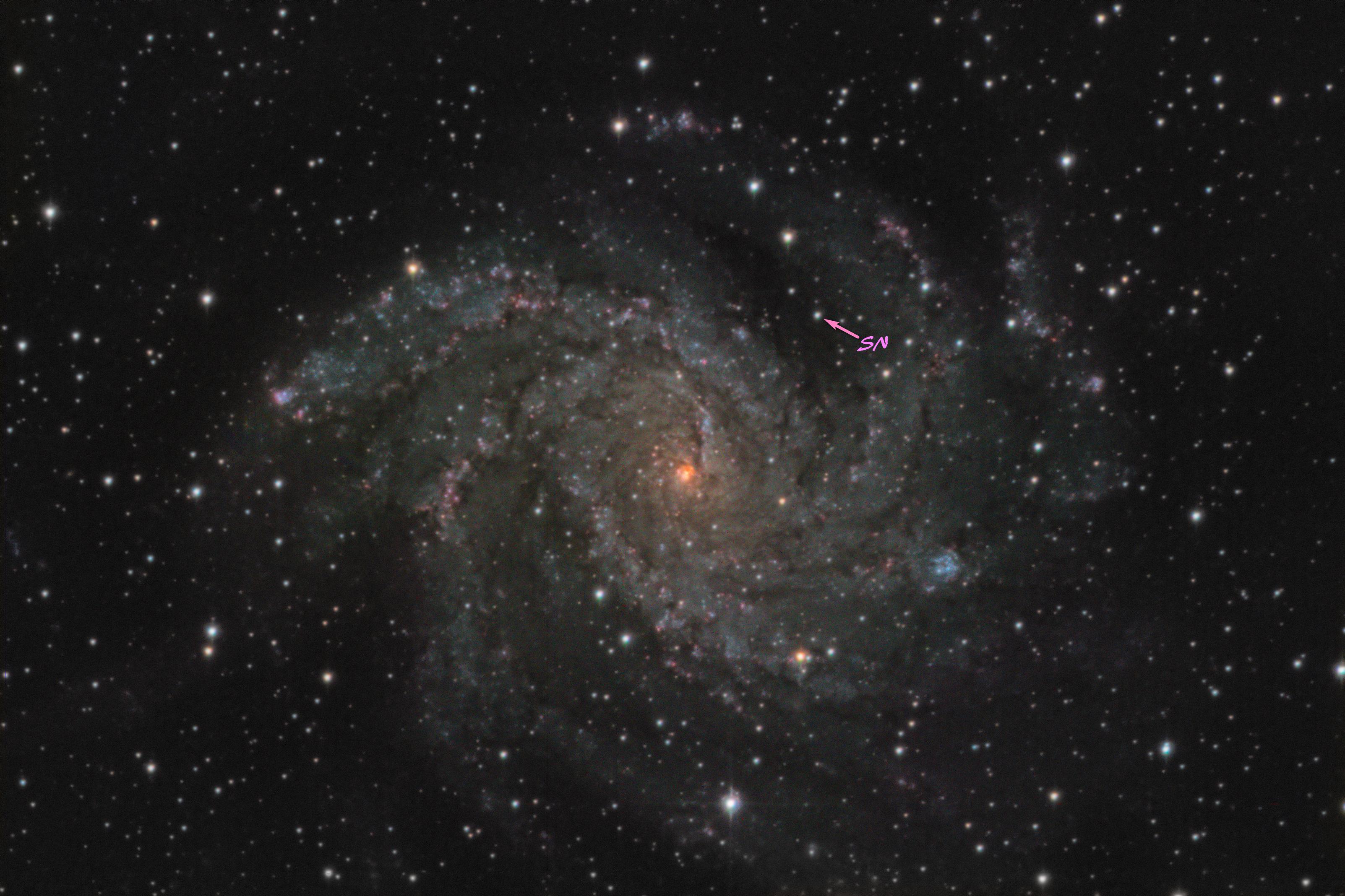 NGC 6946_Image33_DBEcol+SN_annoté.jpg