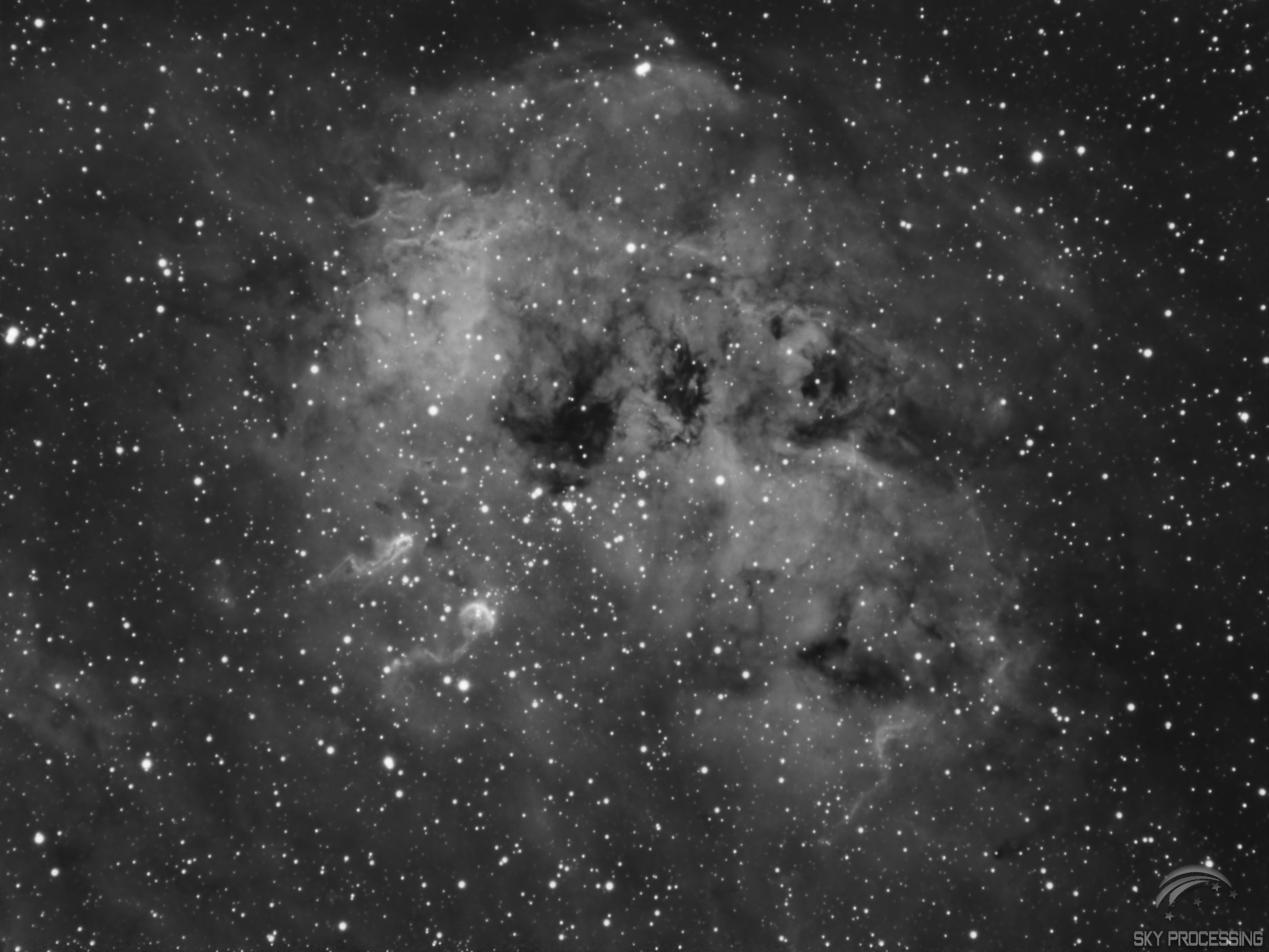 IC410-2.jpg