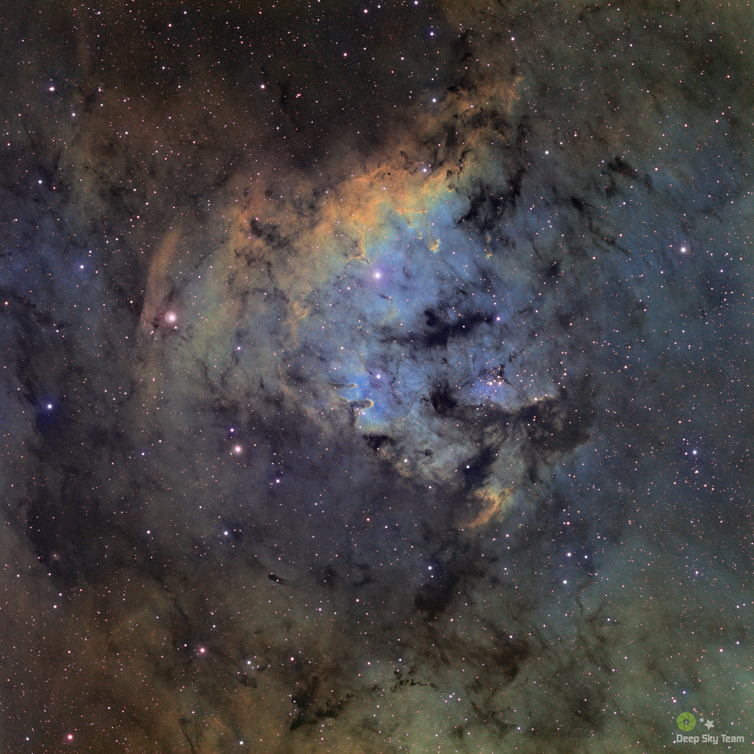 SH171_PS_V1_LowRes.jpg