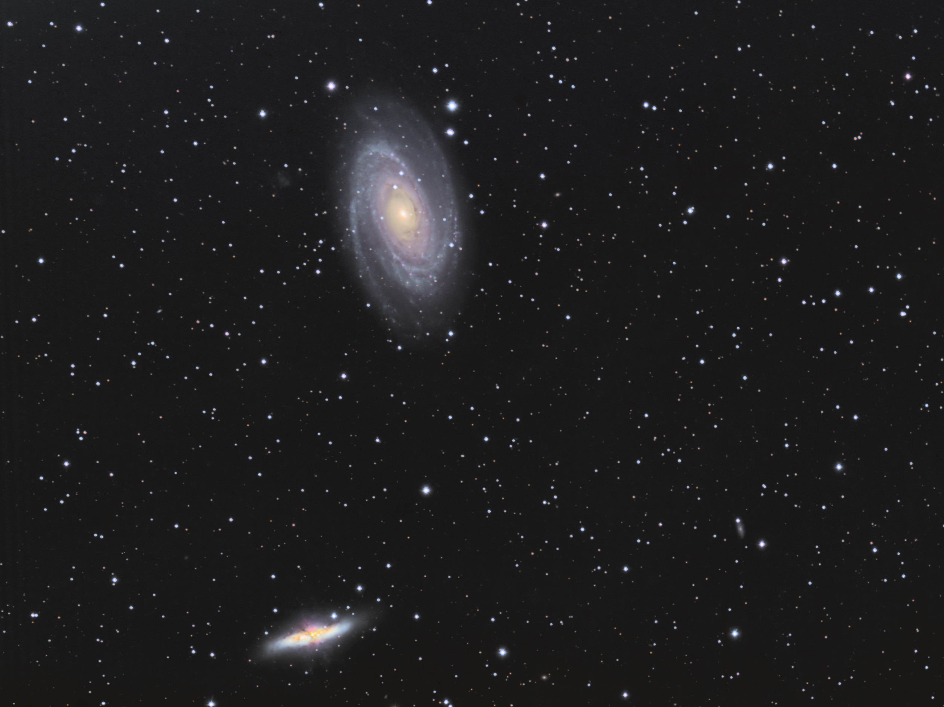 M81 M82 termine.jpg