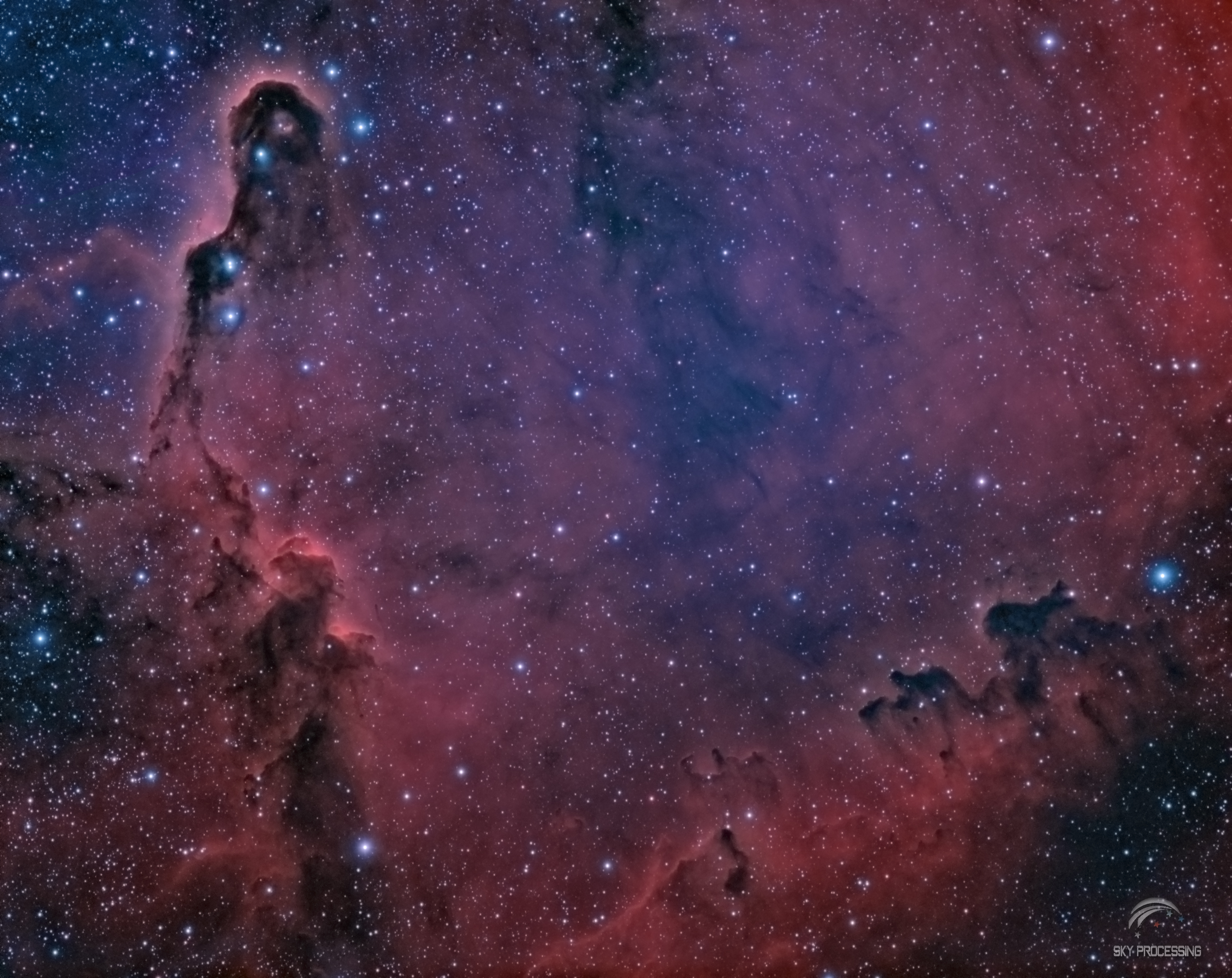 2018-08-01_IC1396_HOO_v3.jpg