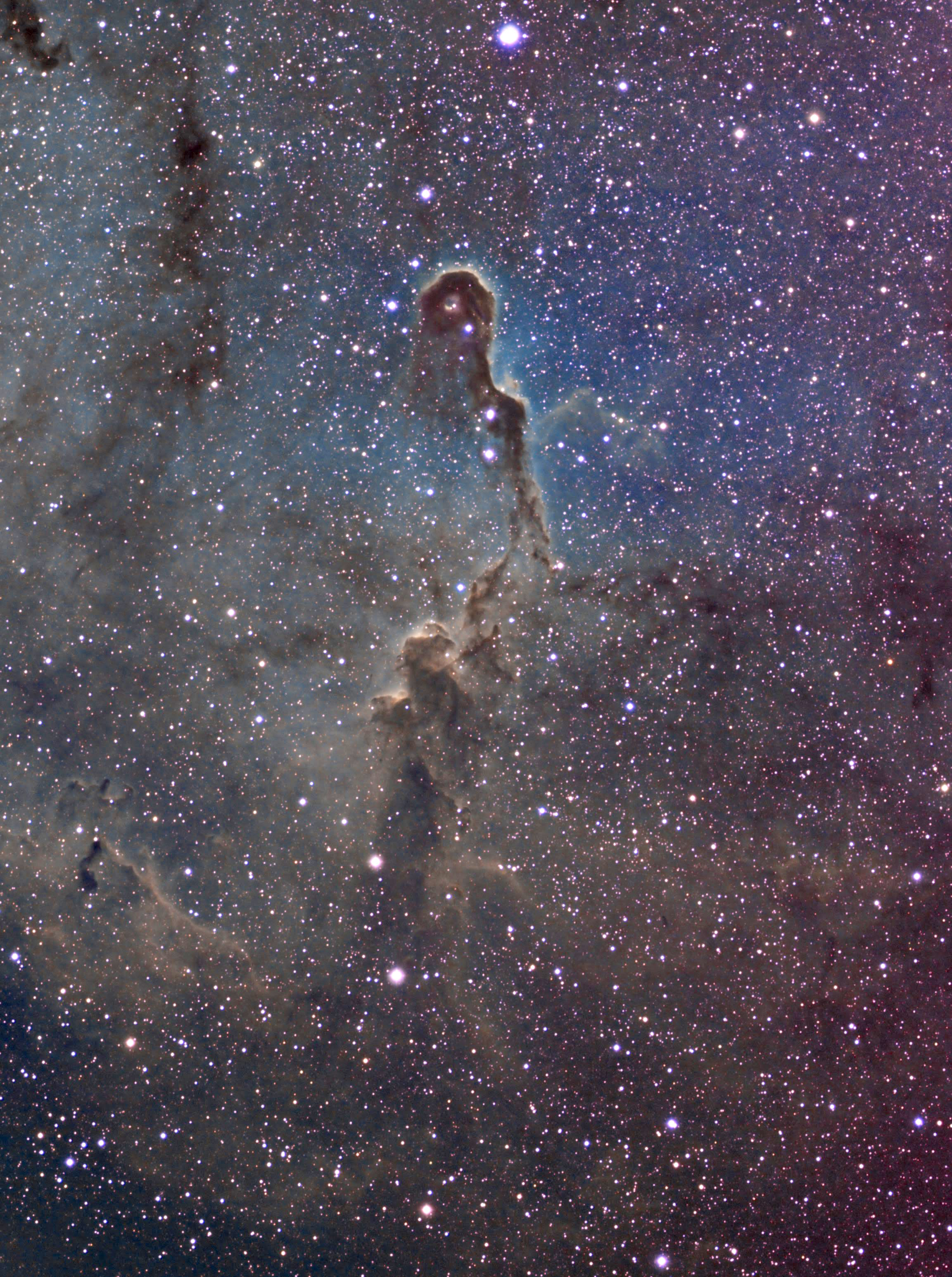 IC1396 finale avec lum.jpg