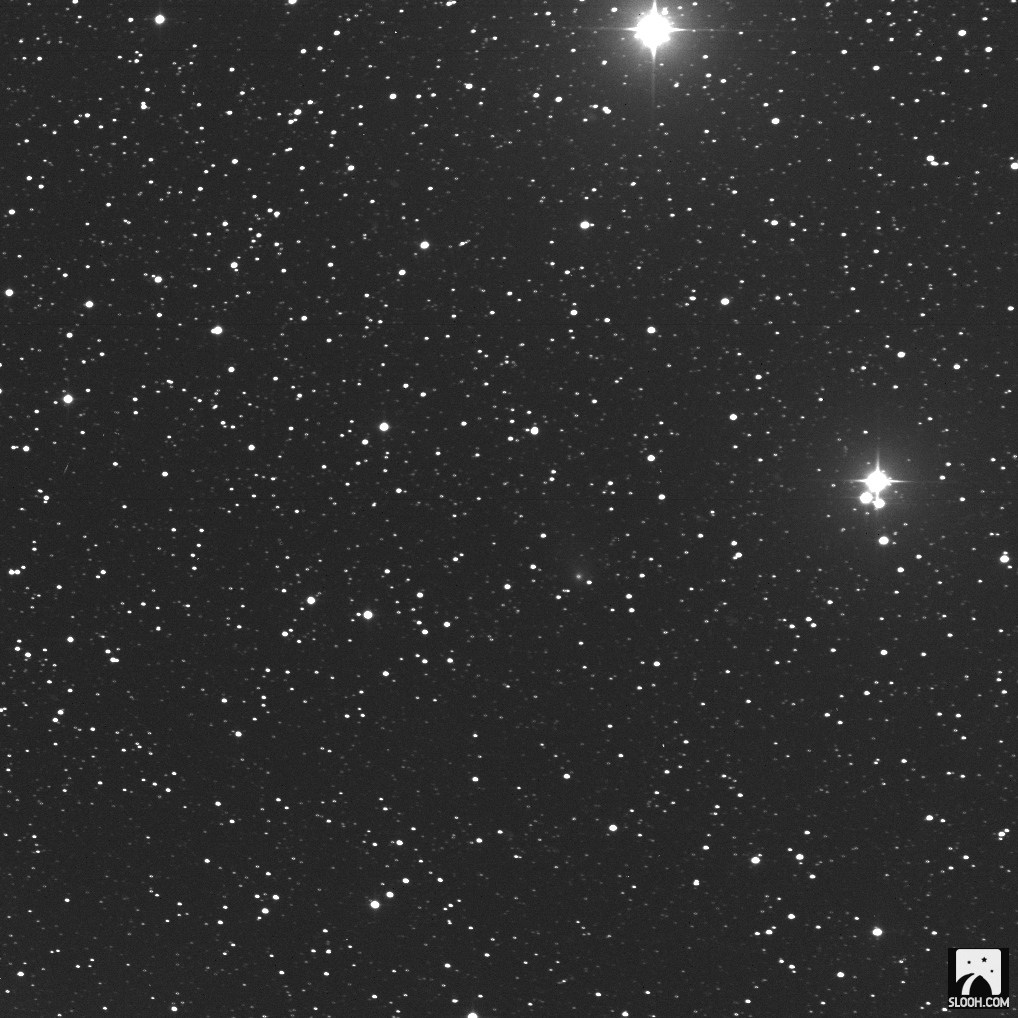 C 2016 N6 PANSTARRS_canary 1_065548m202800_20190111_231508_0_qtdimf_l.jpg