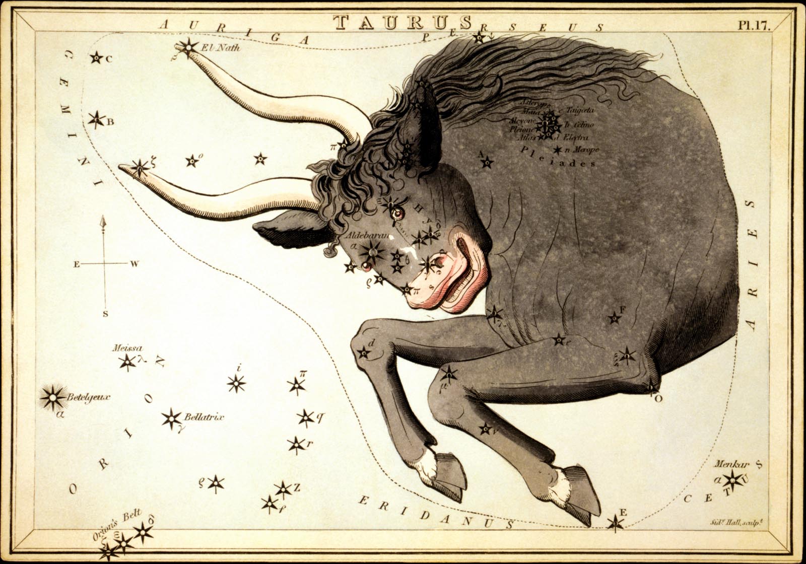 constellation_Taurus.jpeg