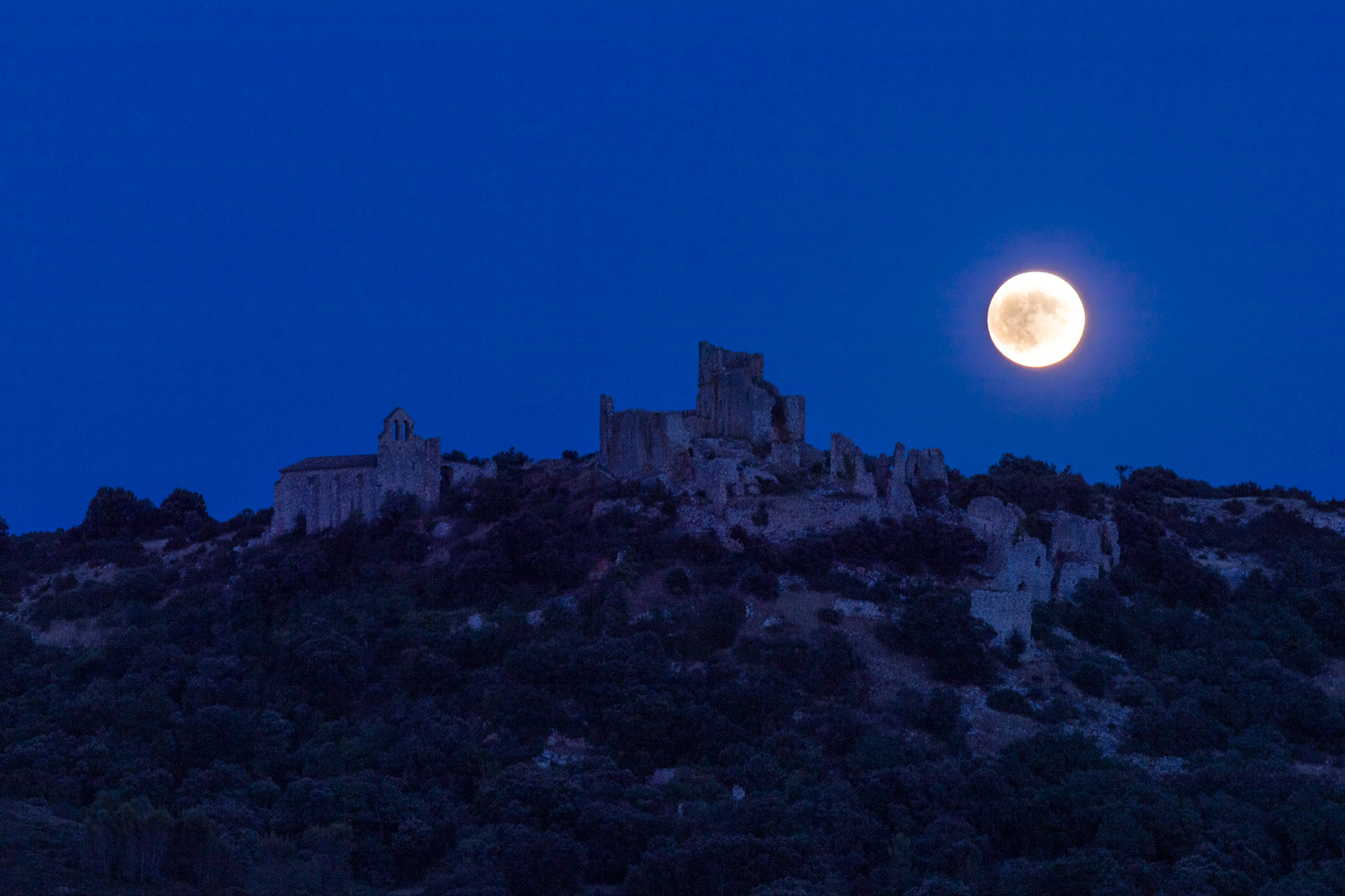 chateau Aumelas.jpg