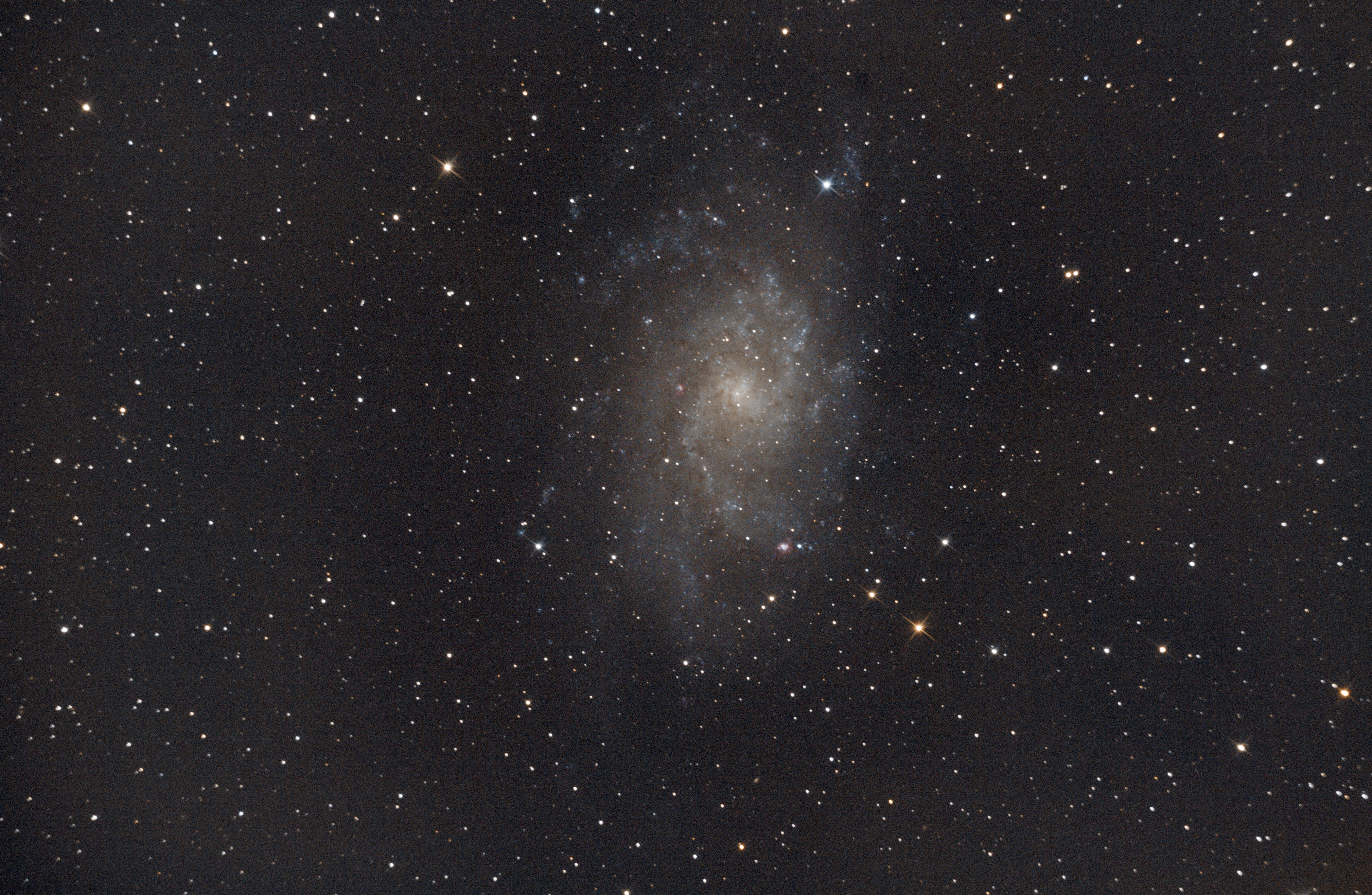 m33 fini.jpg