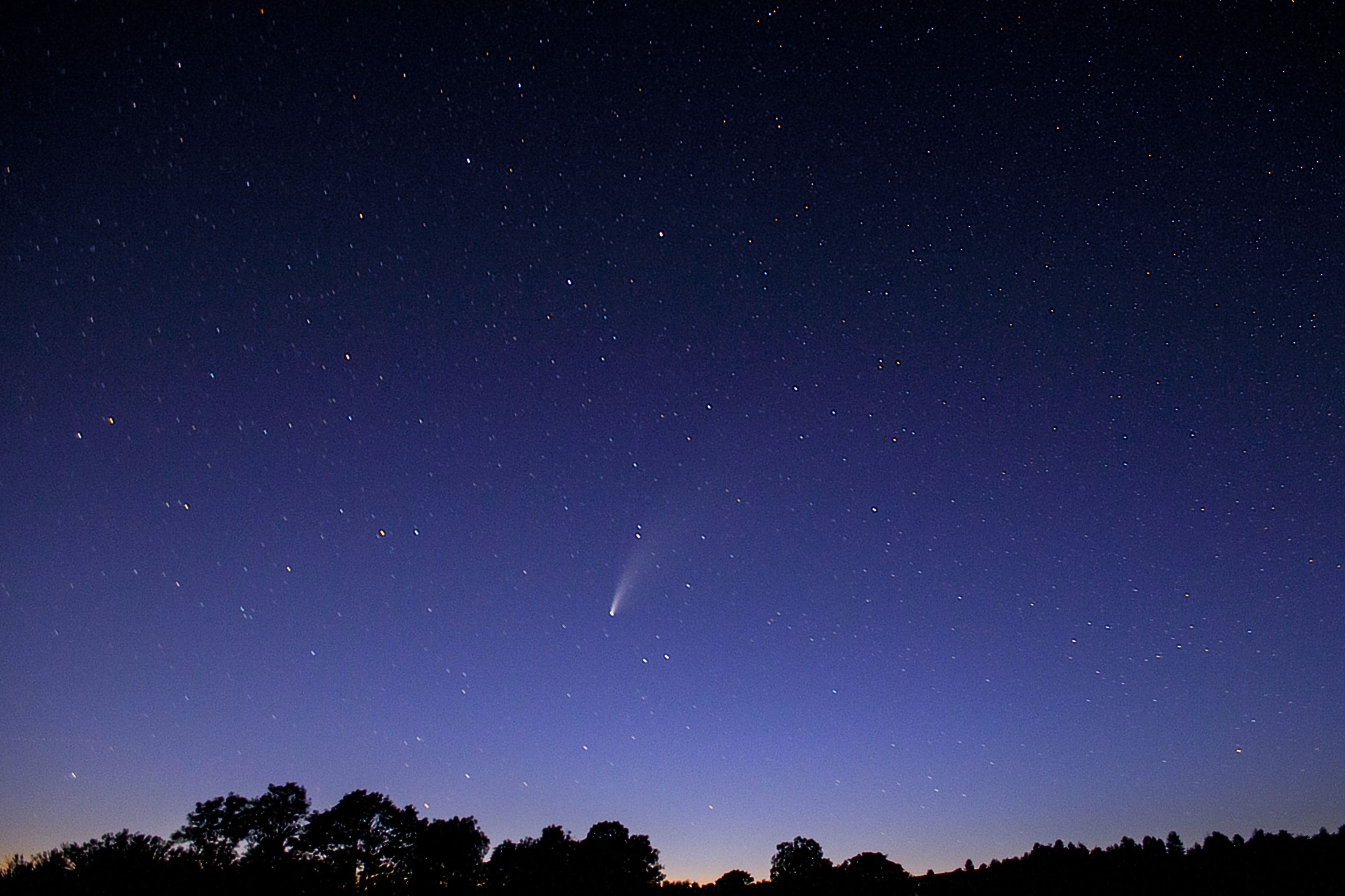 Neowise 1.jpg