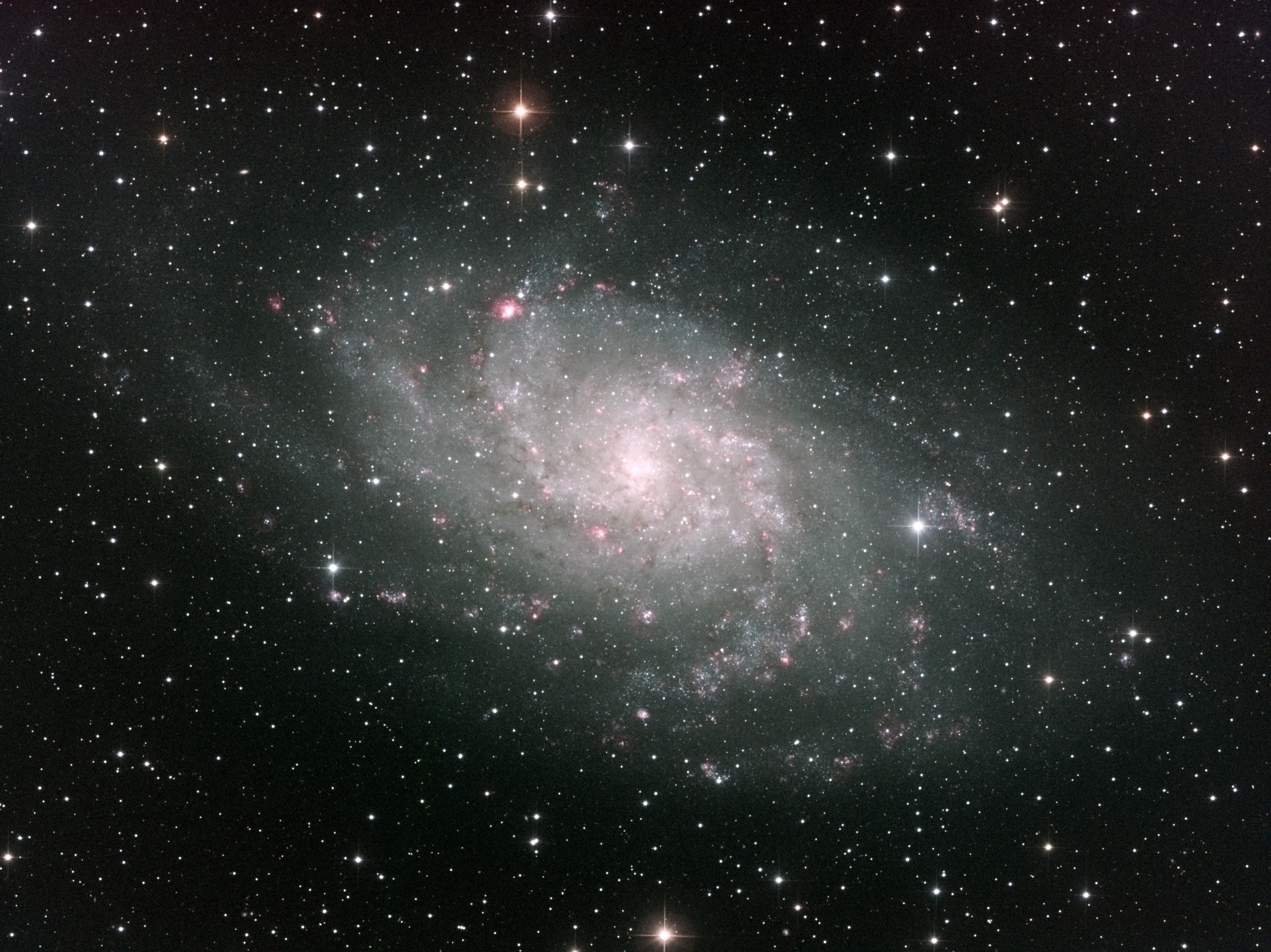 LRGBHa_33pc_v4[26623].jpg