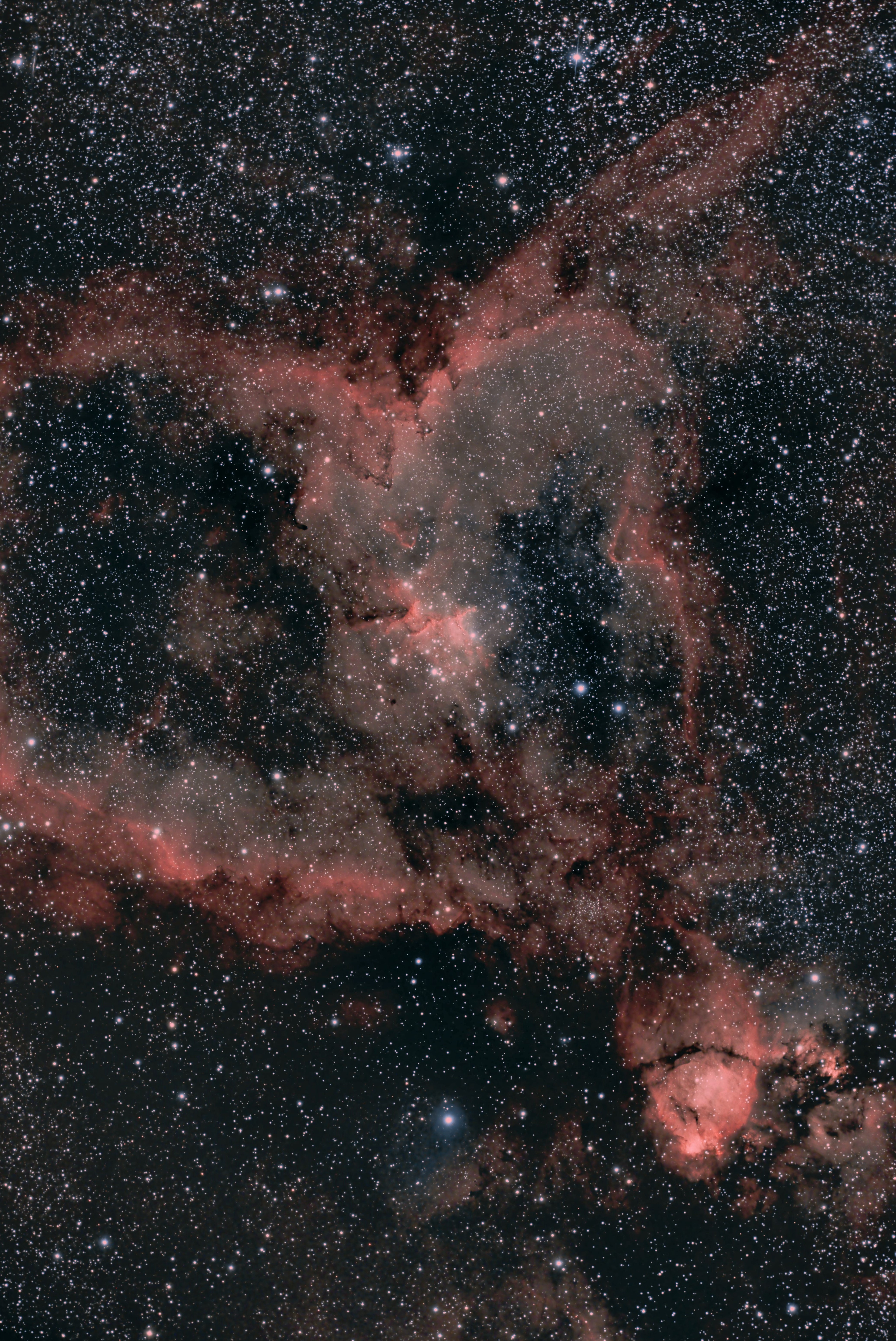 IC1805 Nebuleuse du Coeur 4.jpg