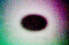 Flat_1s_Bin1_3_0030_thn.jpg