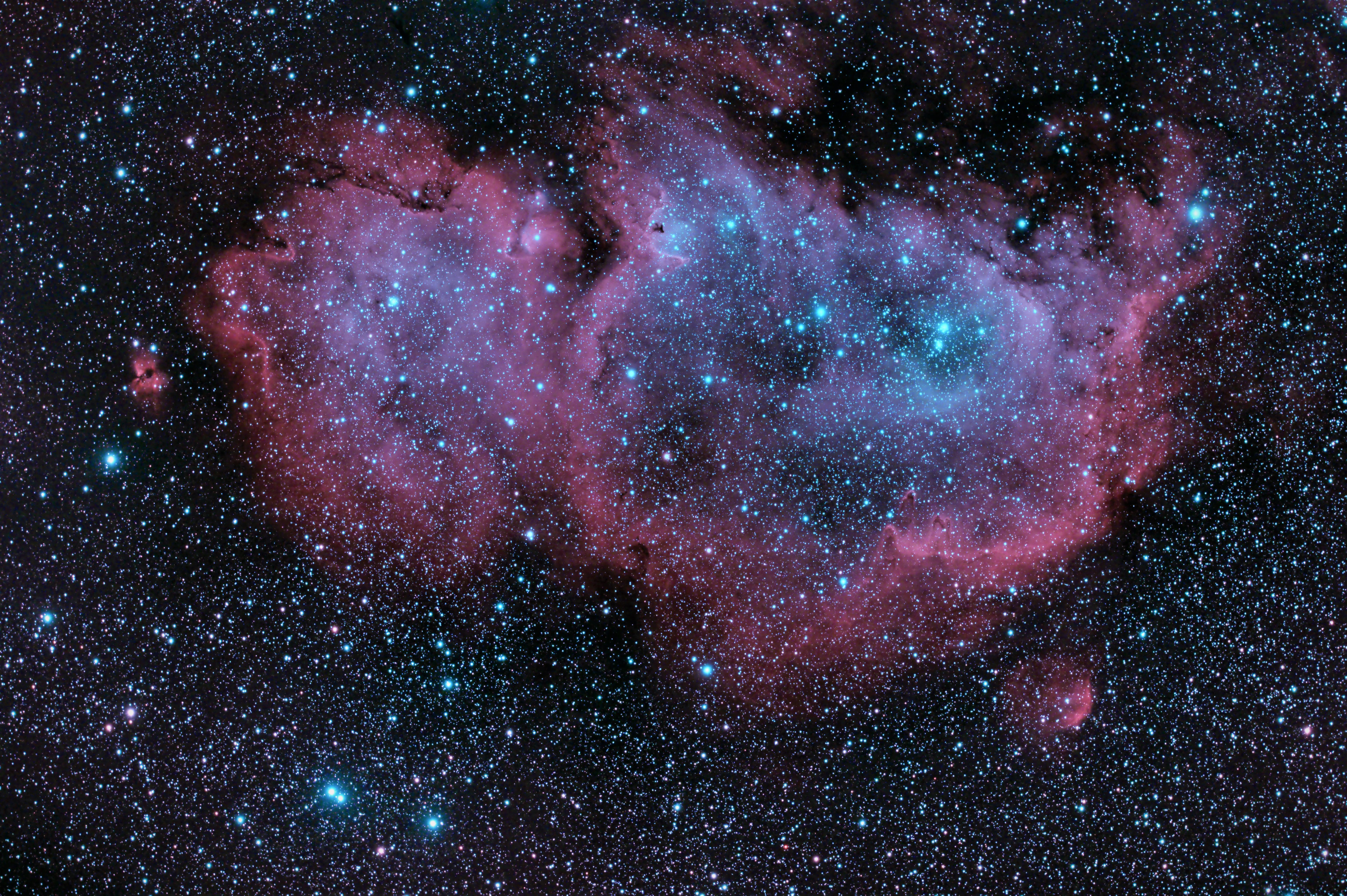 IC1848 NB1 600 BIS.jpg