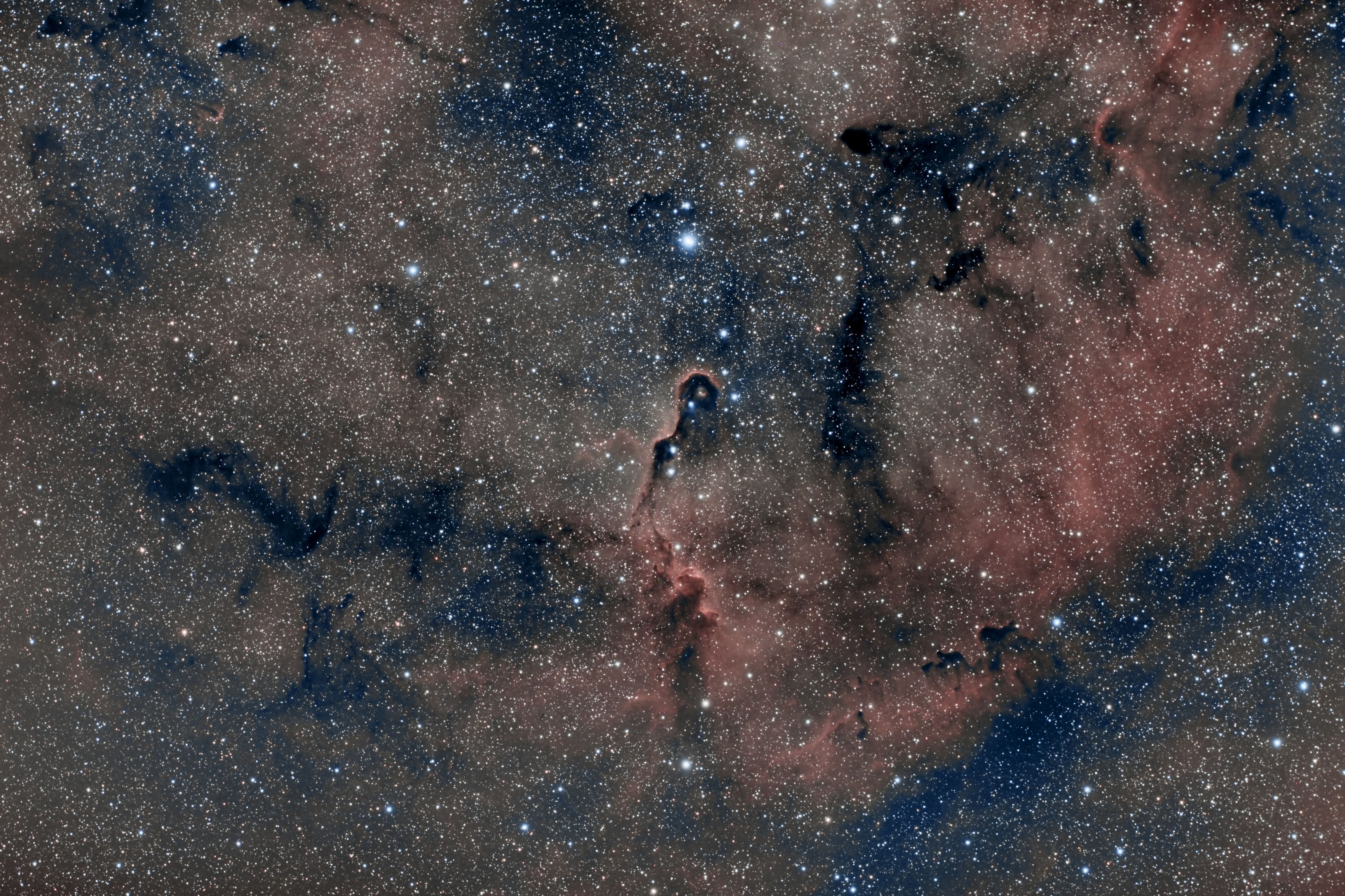 IC1396 30X600.jpg