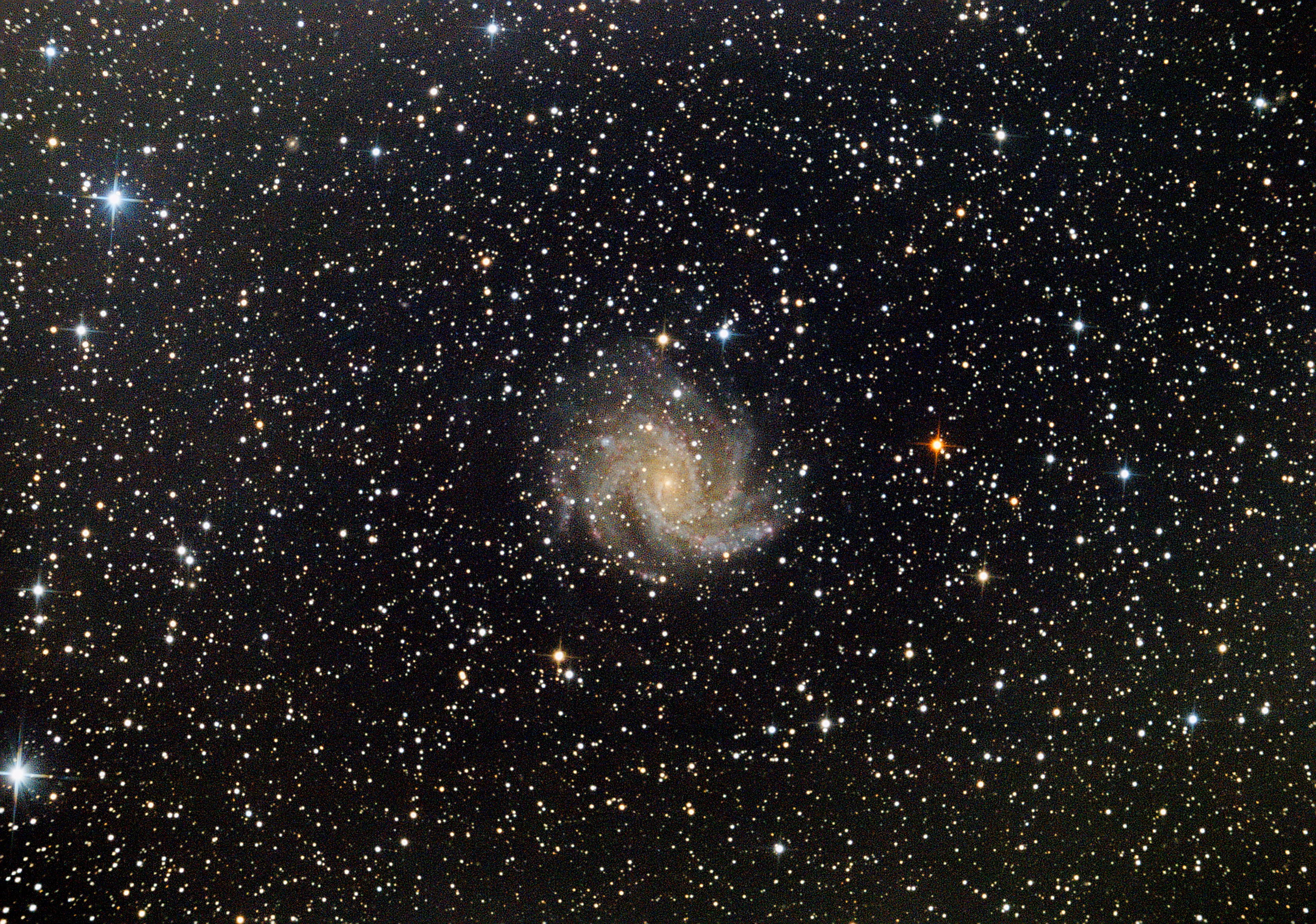 NGC 6946 Galaxie Firework.jpeg