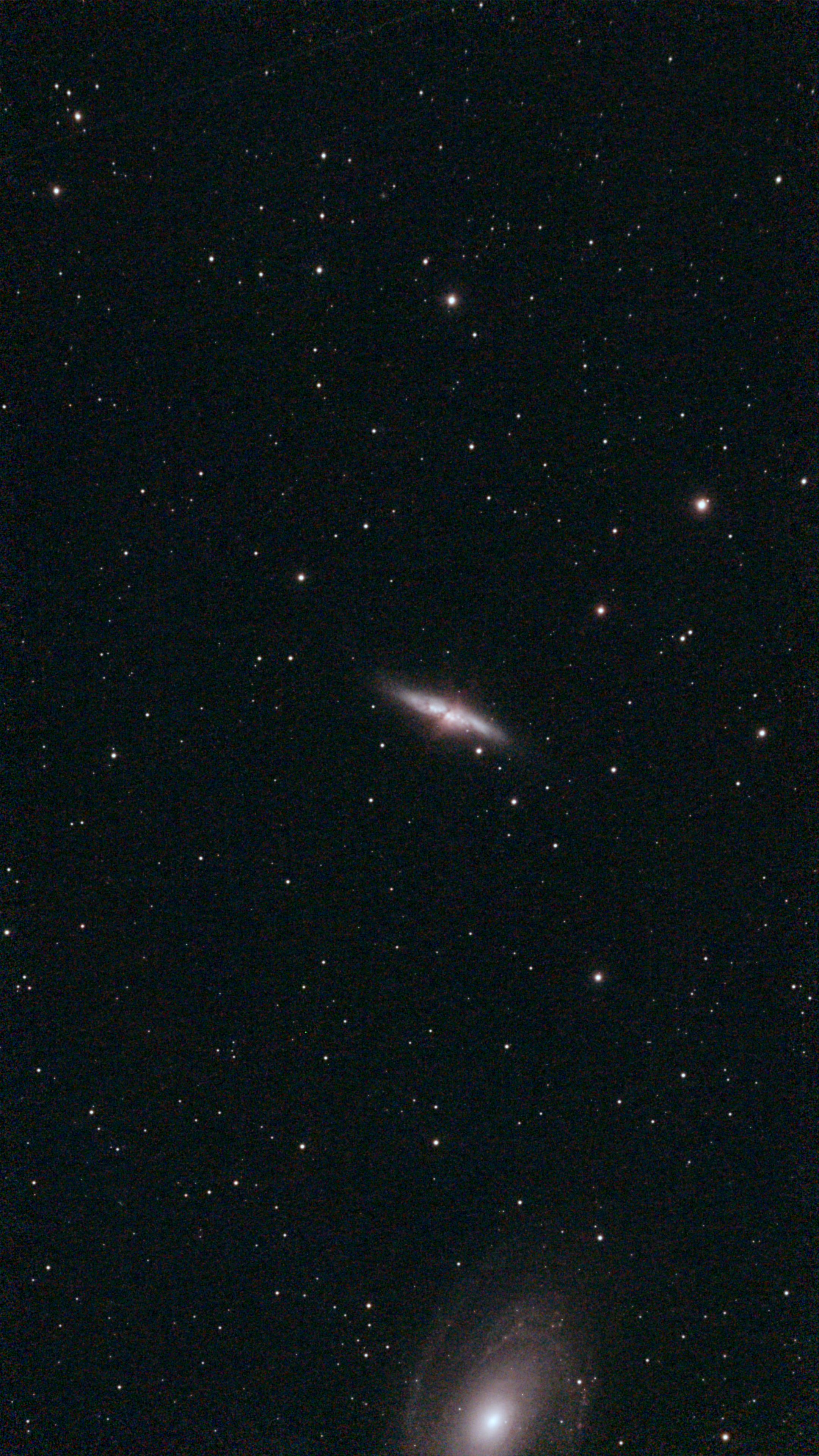 M82+81