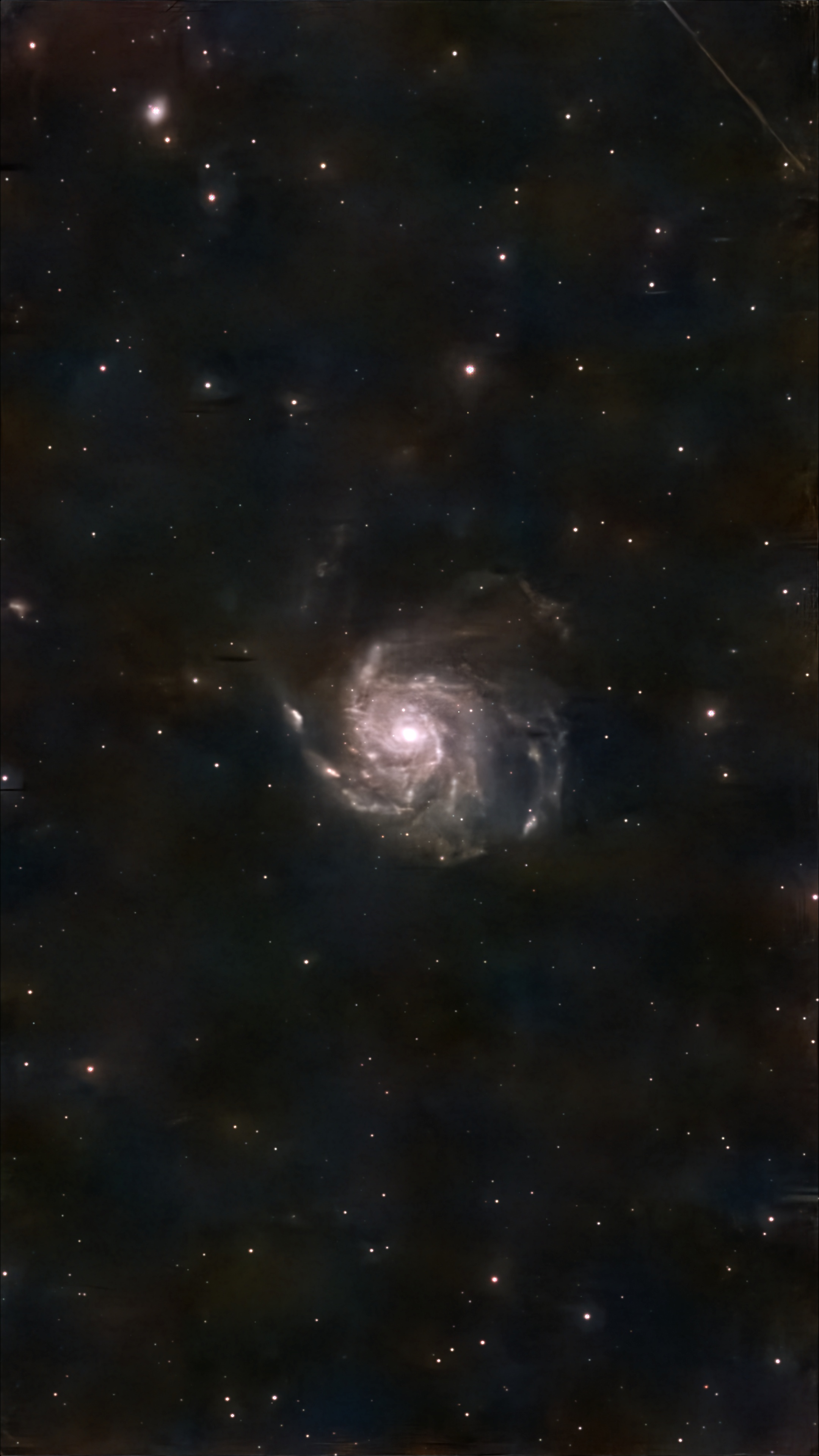 M101 TRAITEE COSMOS .jpg