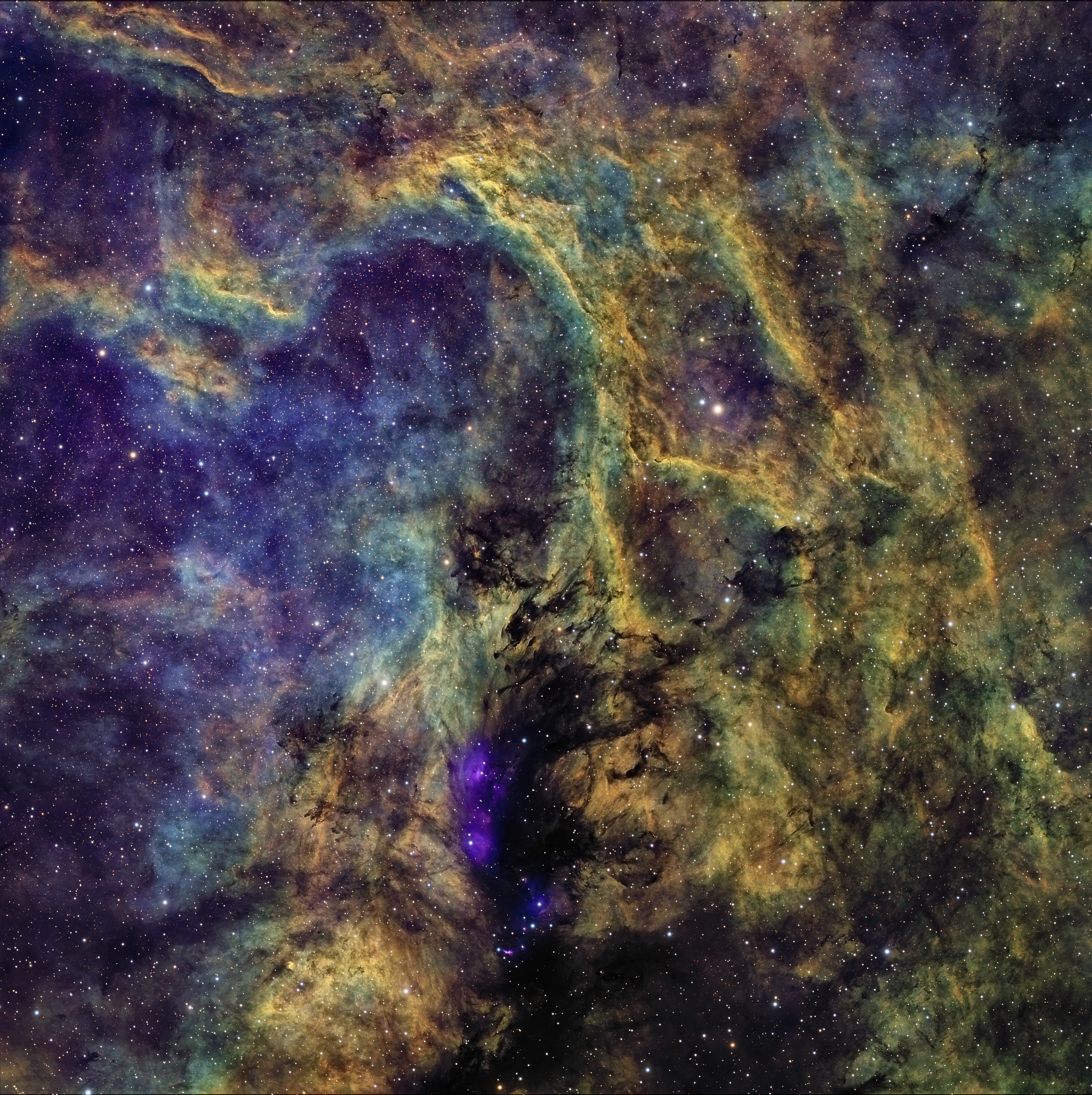 LDN900_palette_SHO_1.jpg