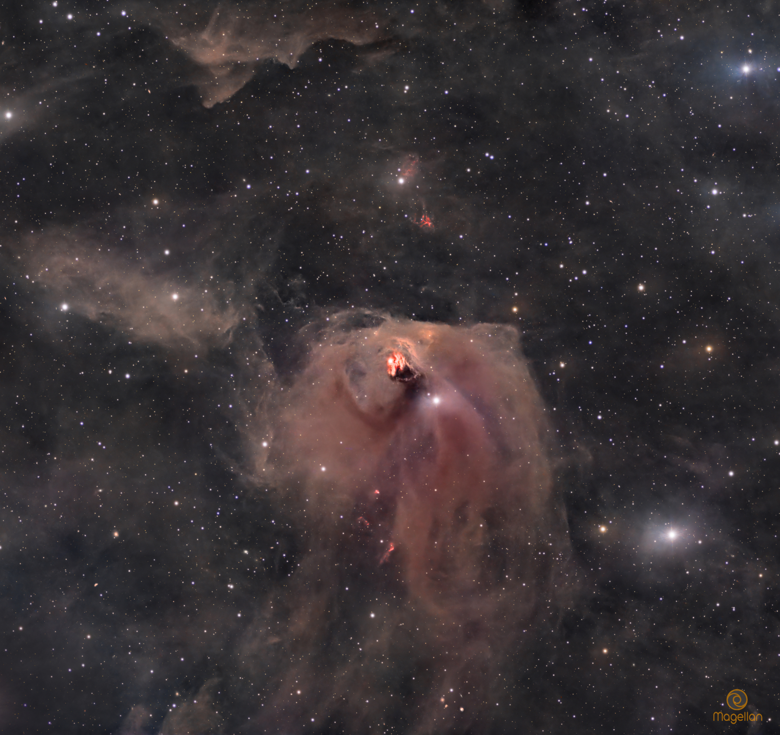 NGC1555_V6_LowRes_Logo.jpg